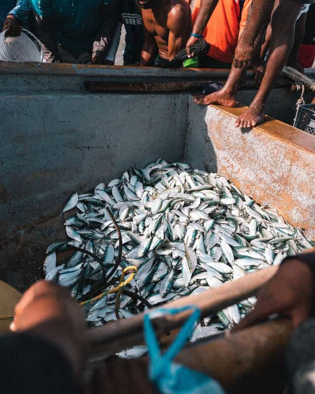 Comment se forme et s'ajuste le prix d'équilibre sur le marché ?