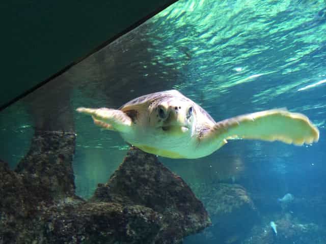 Se localiser sur Terre