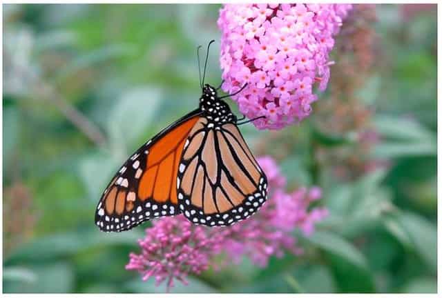 Compresser un peu, beaucoup, passionnément...