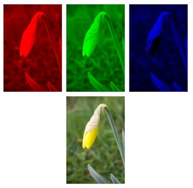 Visualiser et partager