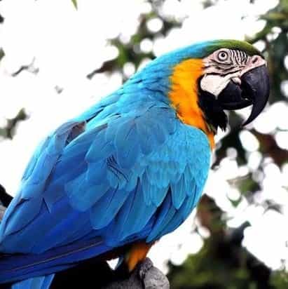 Ajouter des filtres à une image