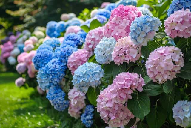 [T1C2] Vers le BAC !