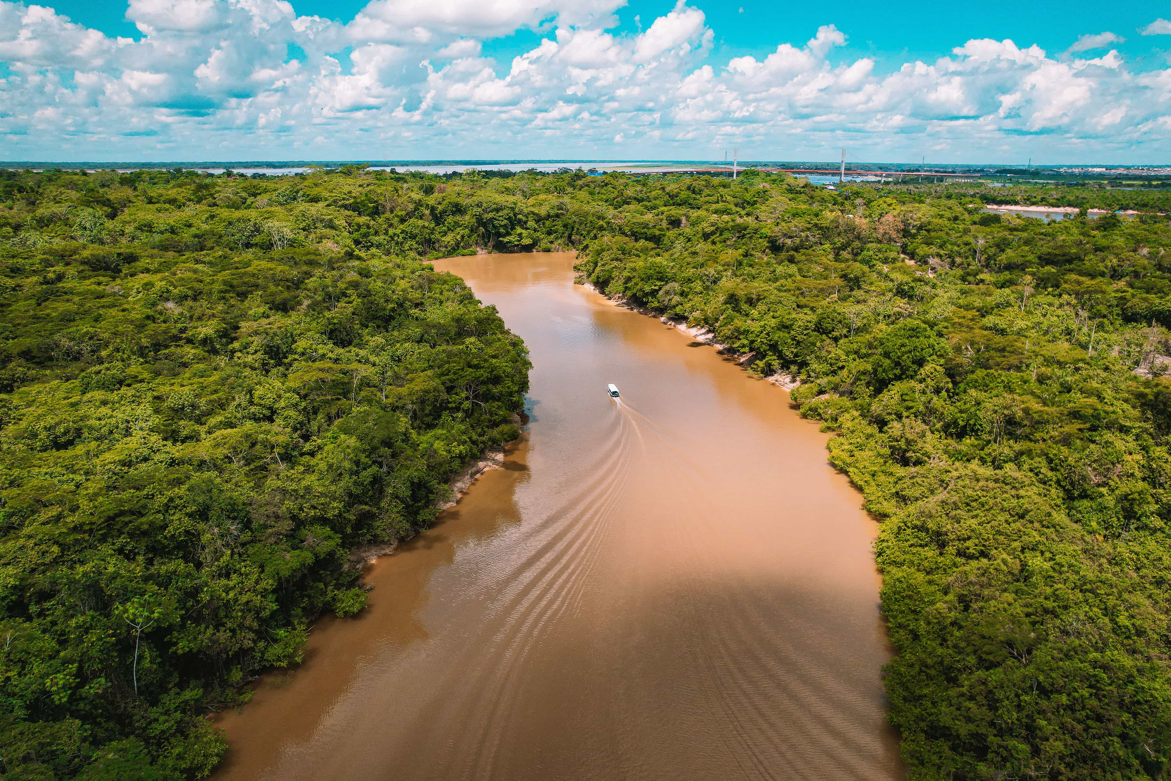 Thème 1 - « Sociétés et environnements : des équilibres fragiles  - La forêt amazonienne : un environnement fragile soumis aux pressions et aux risques